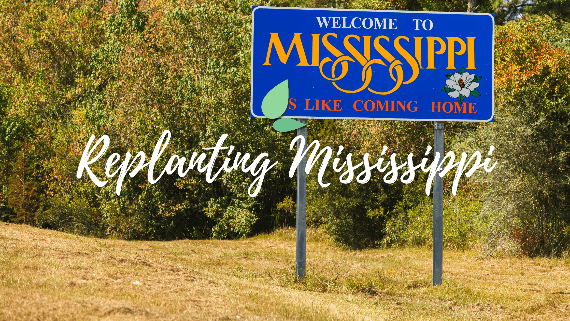 Restoring Mississippi's Forests: Replanting Native Pines After Wildfire in Noxubee County