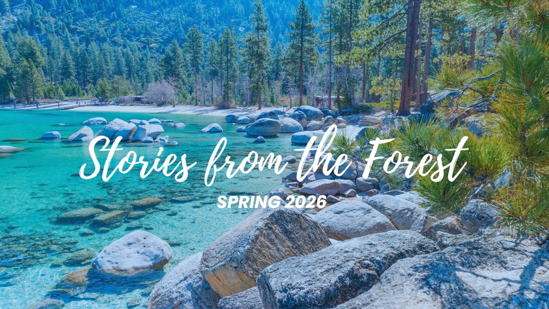 Stories from the Forest: Spring 2026