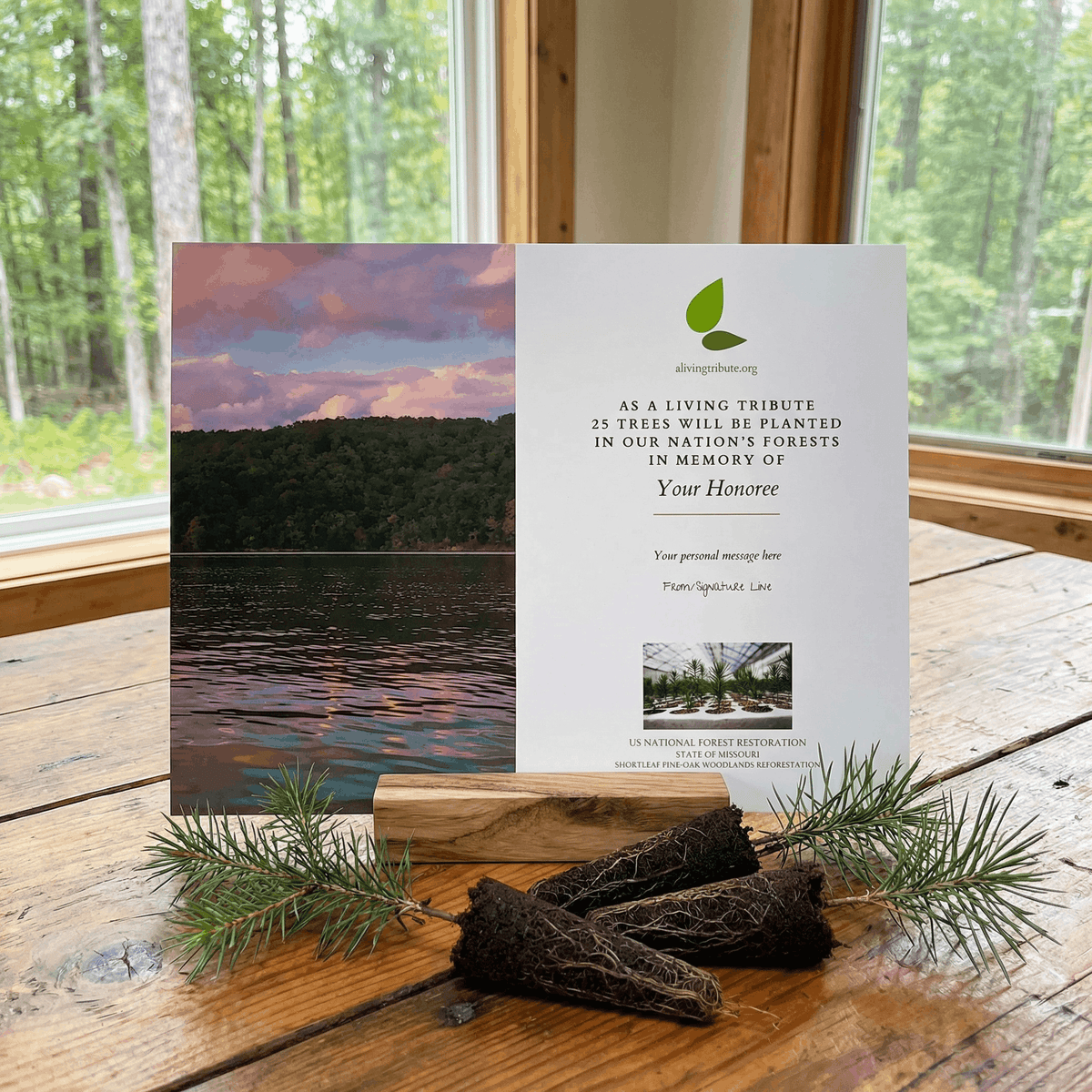 Plant a Tree for Someone in Missouri - Memorial & Tribute Trees | A ...