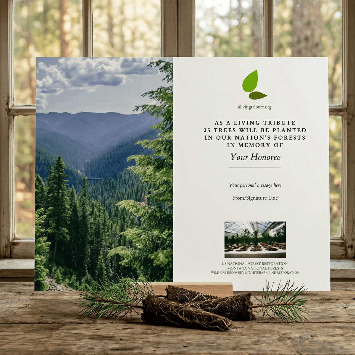 Plant a Tree for Someone in Montana - Memorial & Tribute Trees | A ...