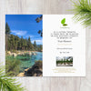 Plant a Tree in Honor or Memory in a California National Forest - A Living Tribute