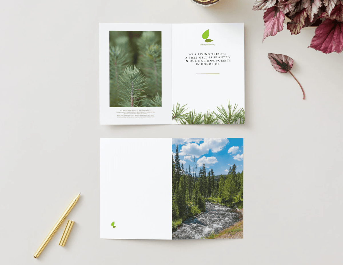 Thank You Nested Tree Boxed Blank Note Cards