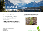 California National Forests E-Card