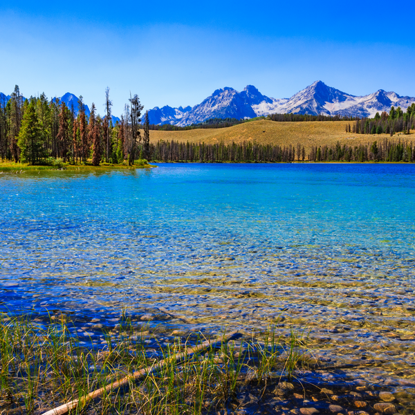 Nez Perce National Forest Retailer