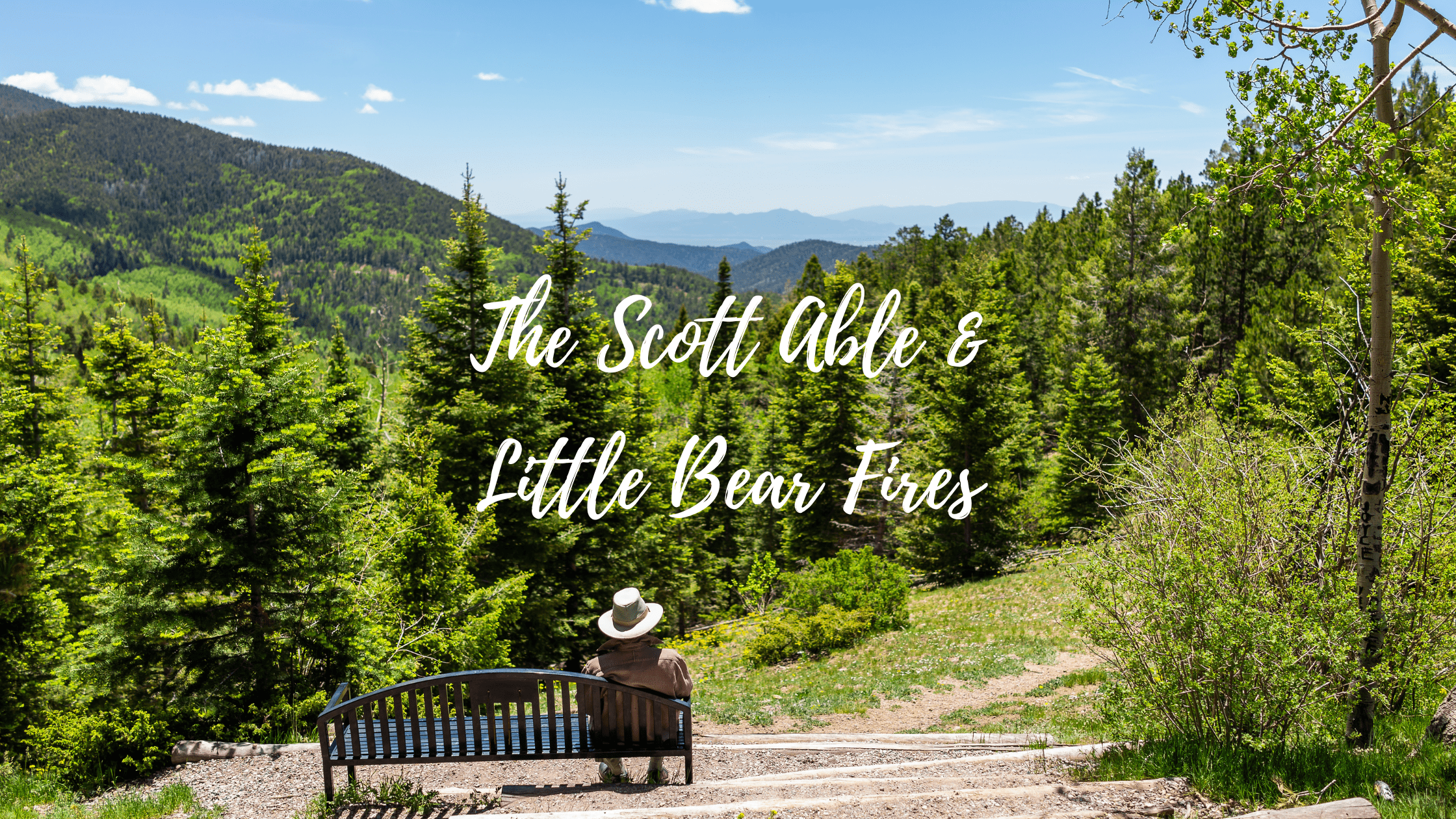 Replanting New Mexico: The Work to Rebuild Forests Lost to Fire