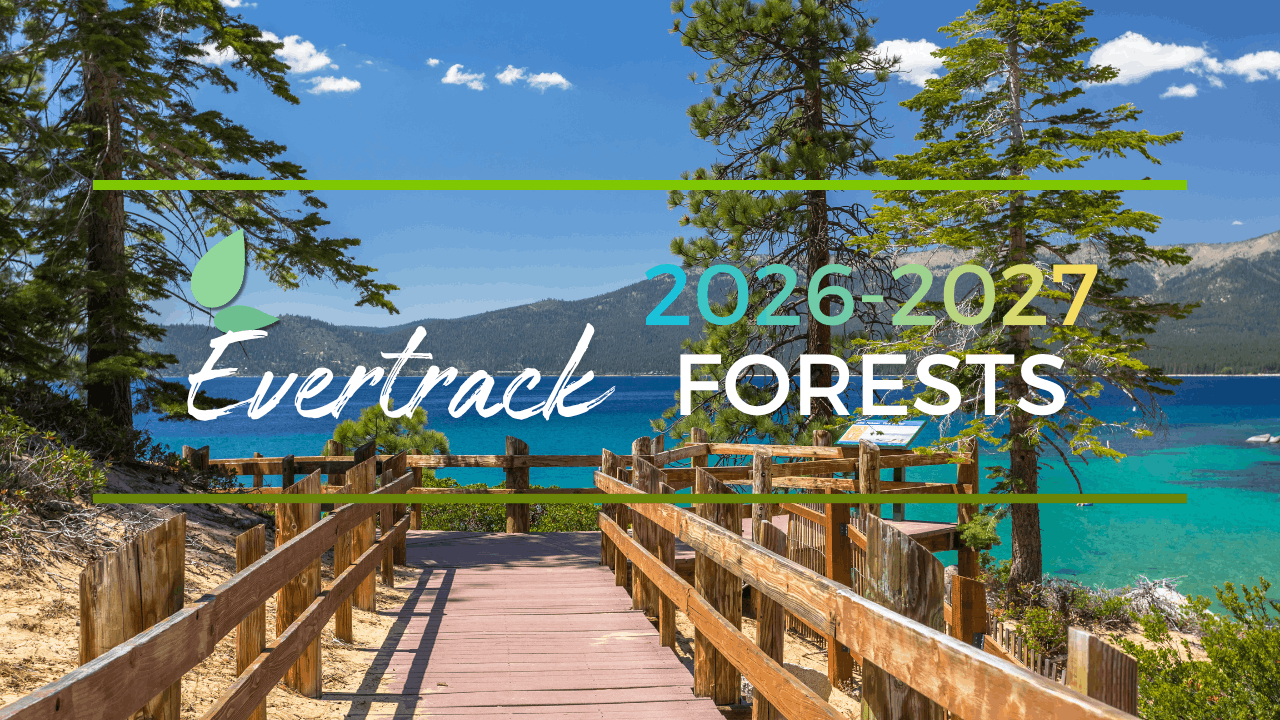 2026–2027 Evertrack Reforestation Projects