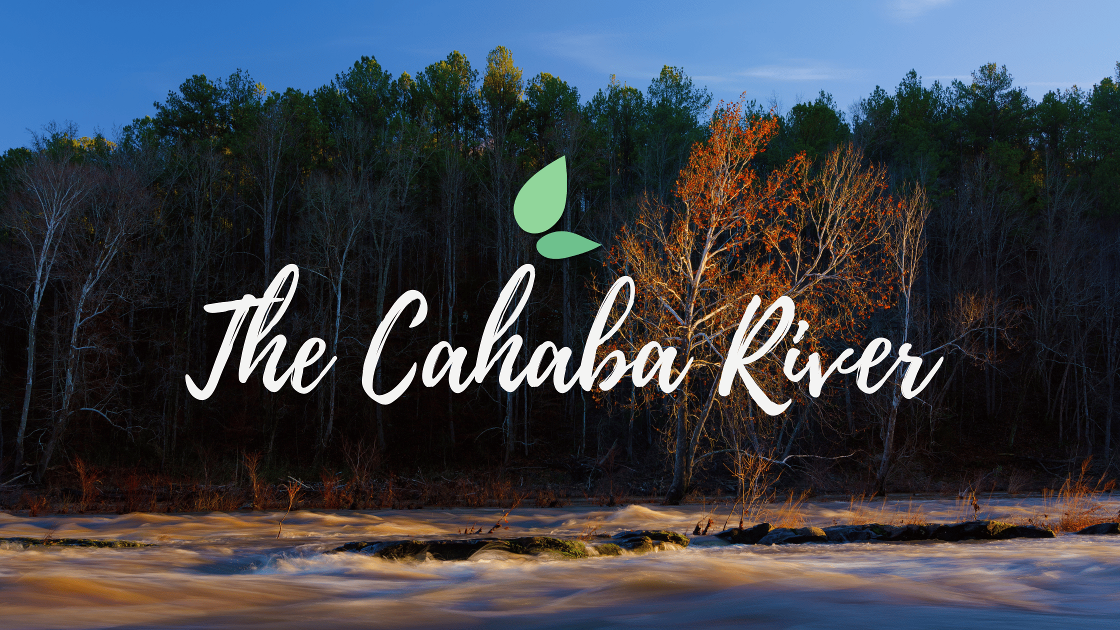 Restoring Alabama's Pine Forests: Replanting Native Trees in the Cahaba River Watershed