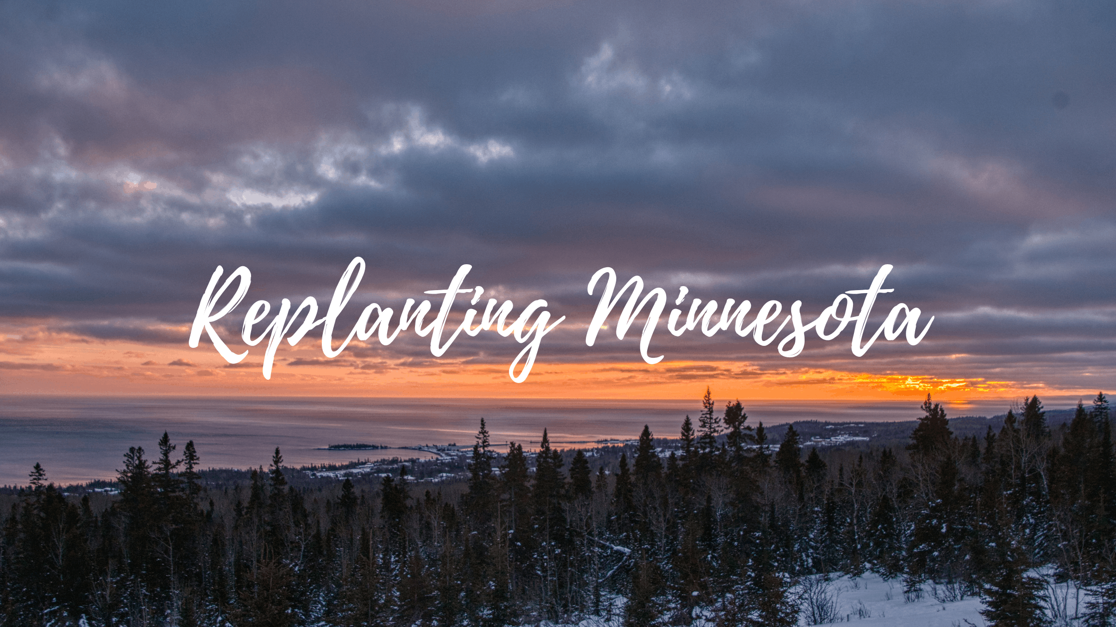 Replanting Minnesota: Wind Storm Tree Recovery