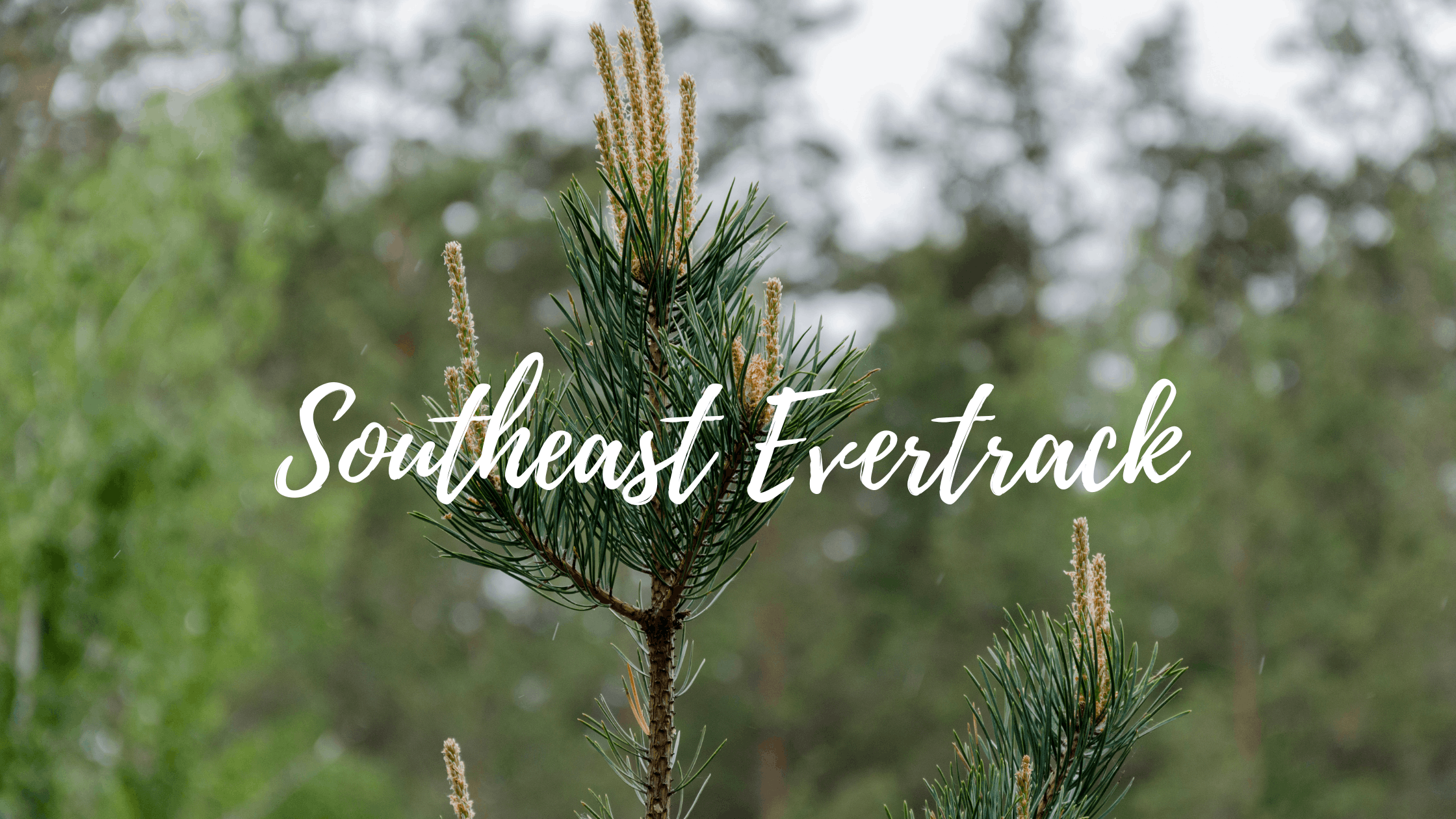 Evertrack 2026 - Southeast US Locations