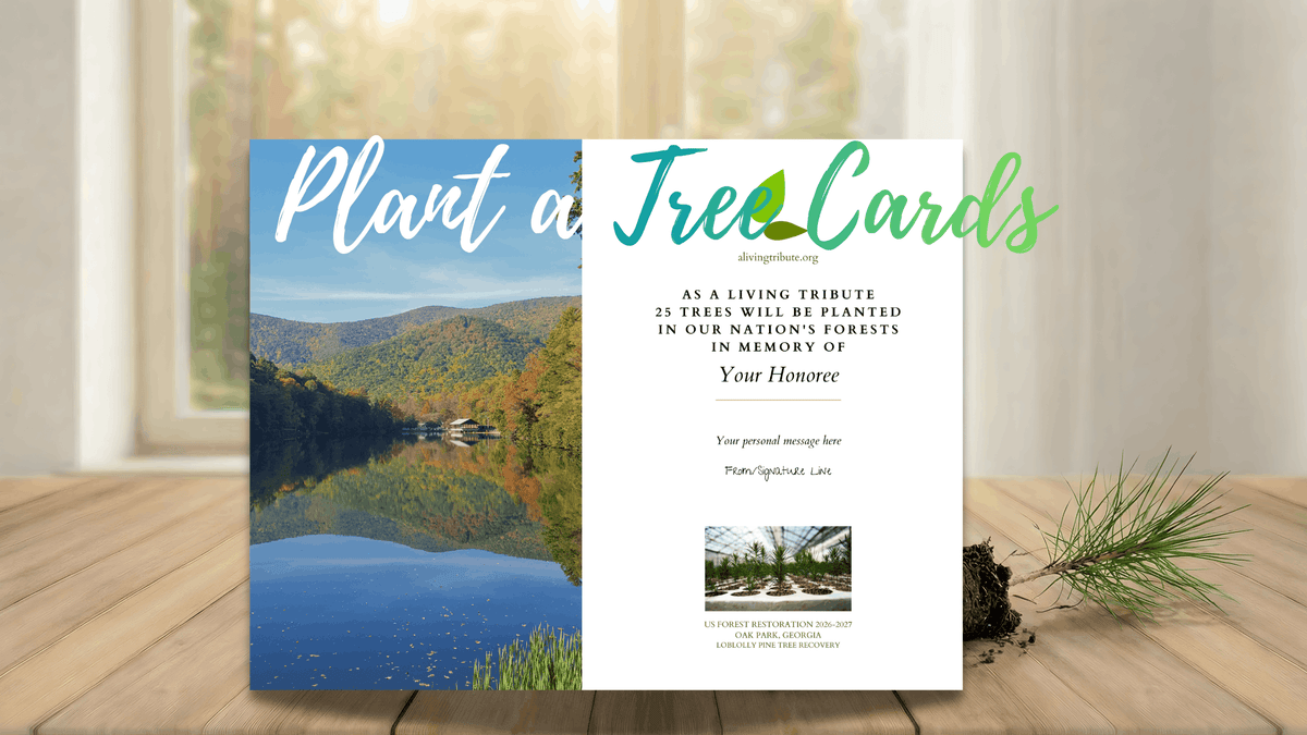 A Living Tribute - Plant a Tree Card Guide | A Living Tribute