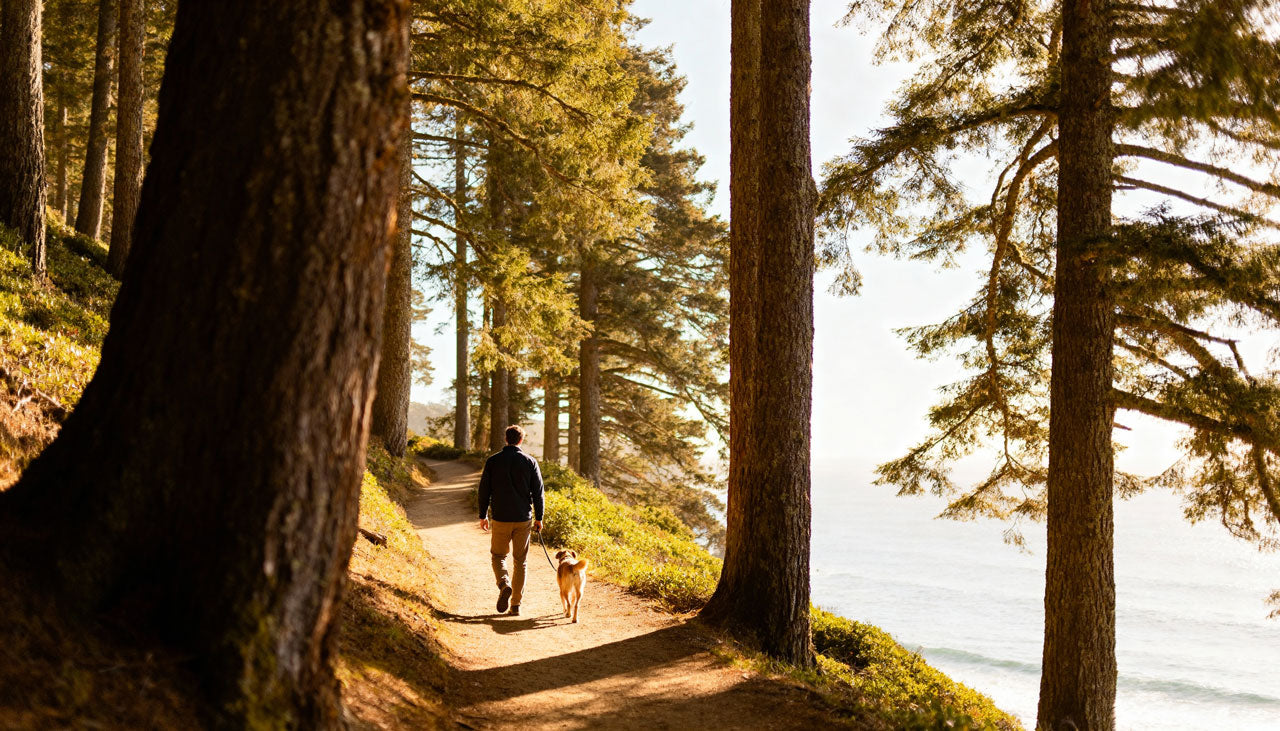 The Healing Power Of Pet Memorial Trees