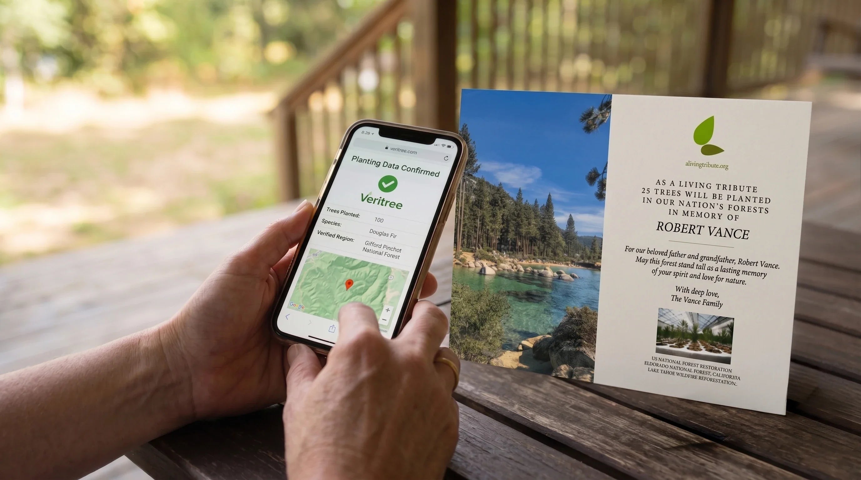 National Forest Transparency: How We Verify Every Tree