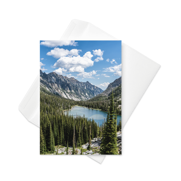 Plant-a-Tree Cards - A Living Tribute
