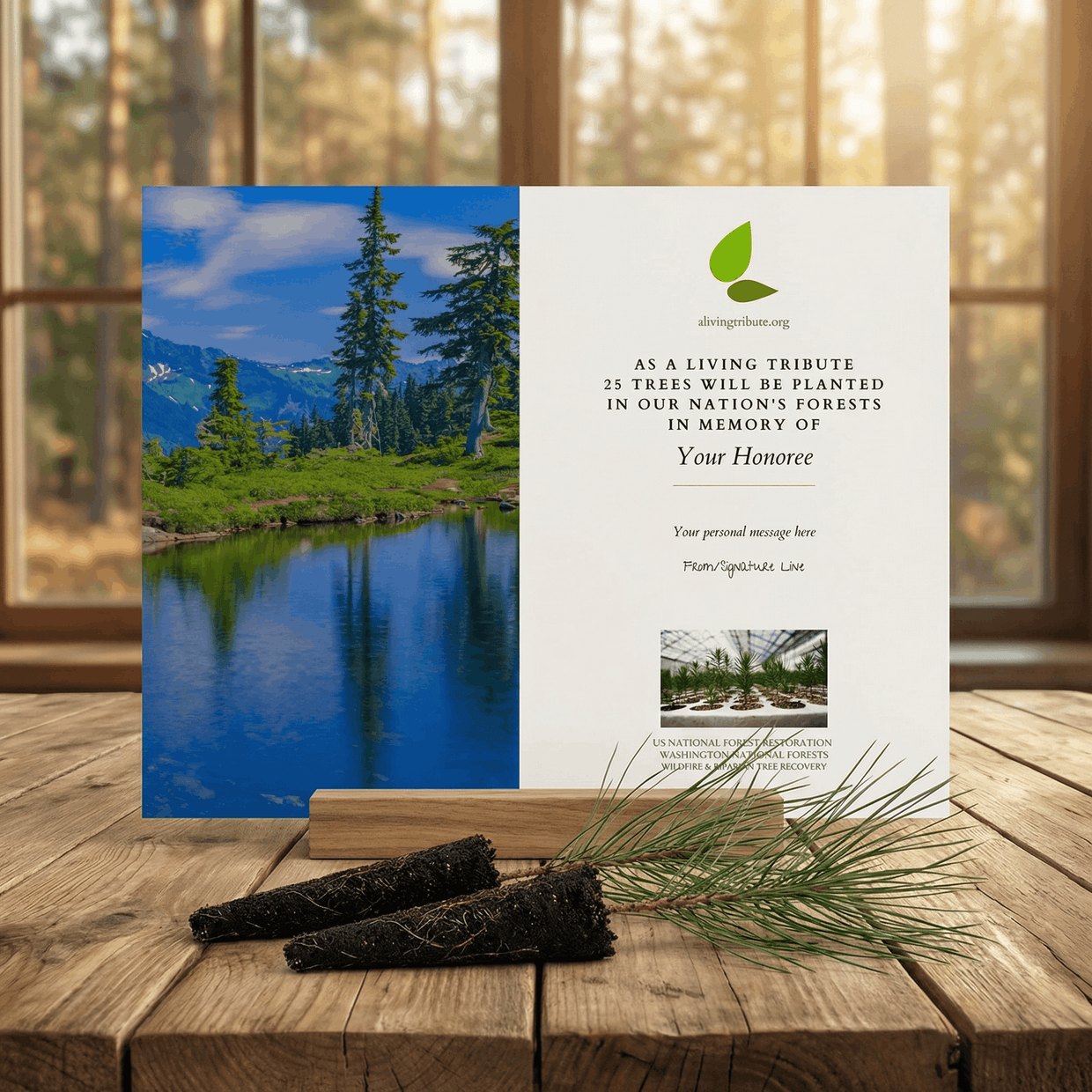 Plant a Tree for Someone in Washington - Memorial & Tribute Trees | A ...