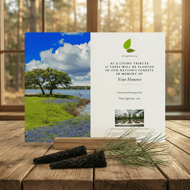 memorial tree planting prayer Plant a Tree for Someone in Texas