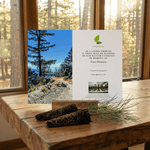 Memorial tree planting card for Angeles National Forest on a wooden table with a forest view through a window.