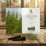 Memorial tree card with Alabama tree planting message on a wooden surface with a forest background