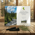 Plant a tree in memory of a deceased person, with a scenic view of a forest and river.