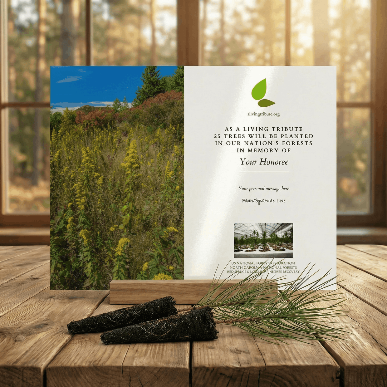 Plant a Tree for Someone in North Carolina - Memorial & Tribute Trees ...