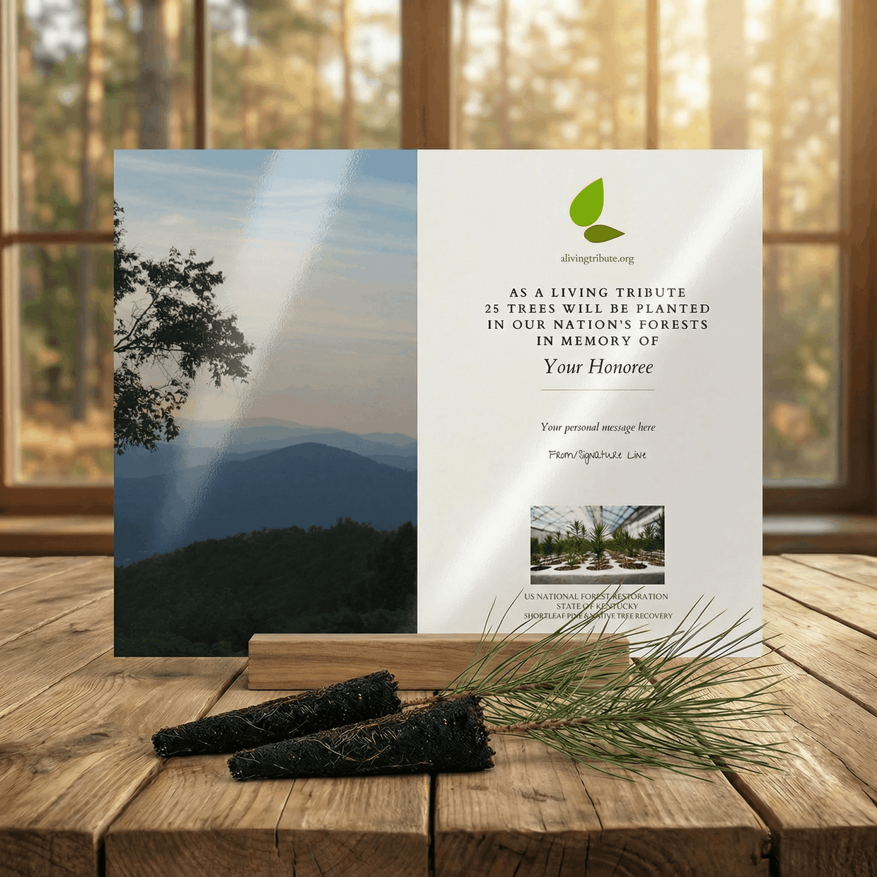 Plant a Tree for Someone in Kentucky - Memorial & Tribute Trees | A ...