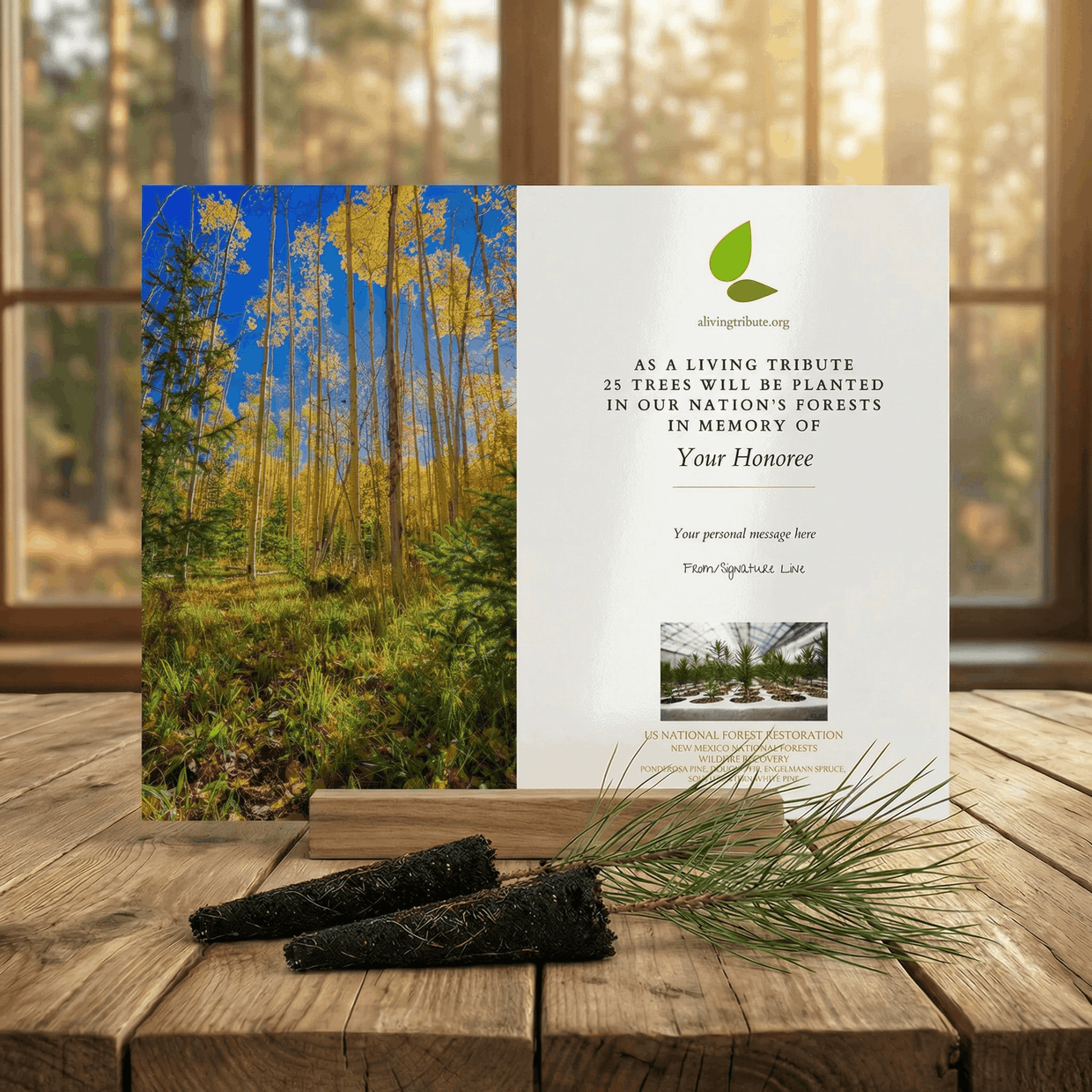 Plant a Tree for Someone in New Mexico - Memorial & Tribute Trees | A ...