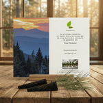 Memorial card with mountain and forest design on a wooden surface with a window background.