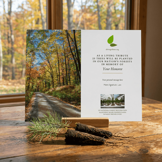 Plant a Tree in Memory Pennsylvania