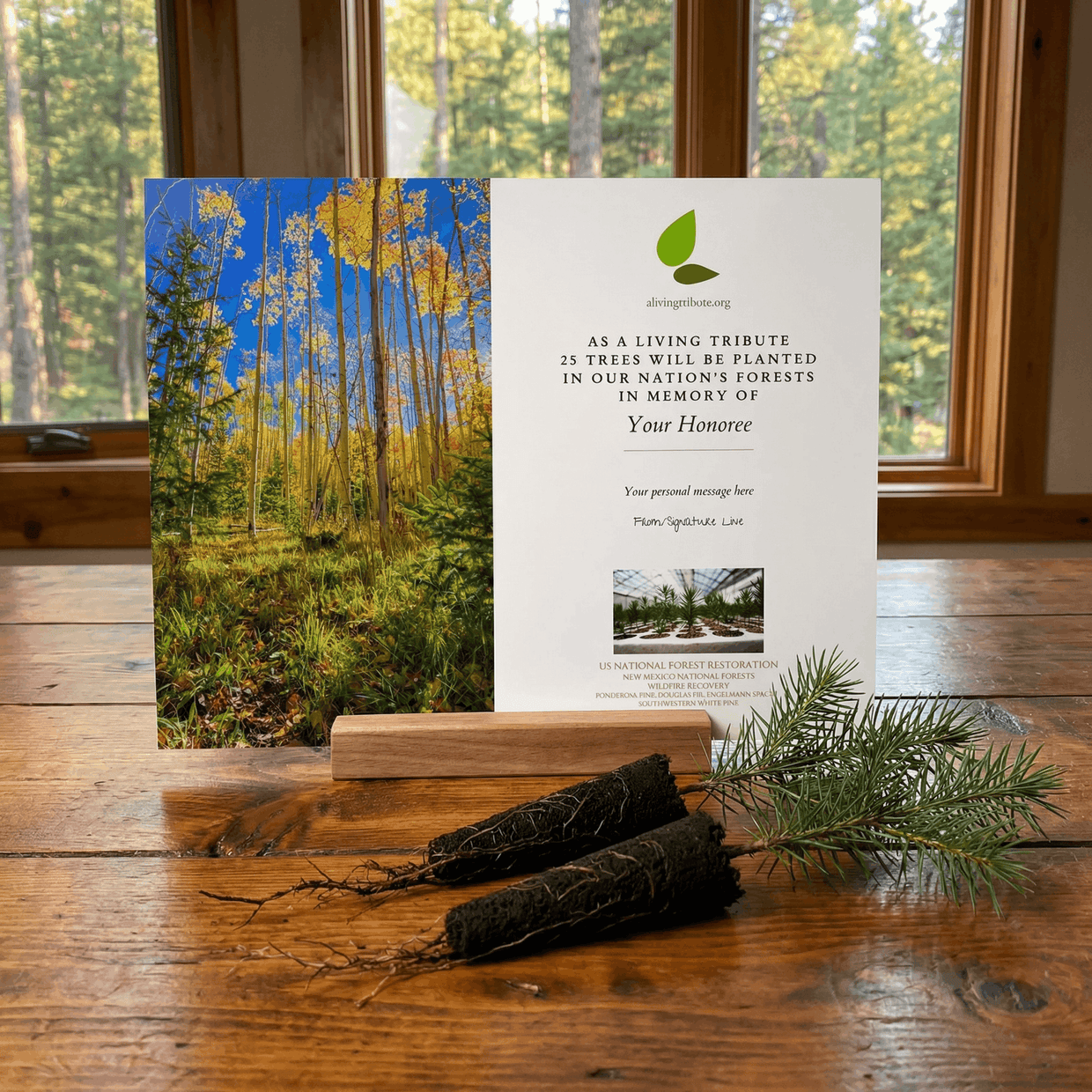 Plant a Tree for Someone in New Mexico - Memorial & Tribute Trees | A ...