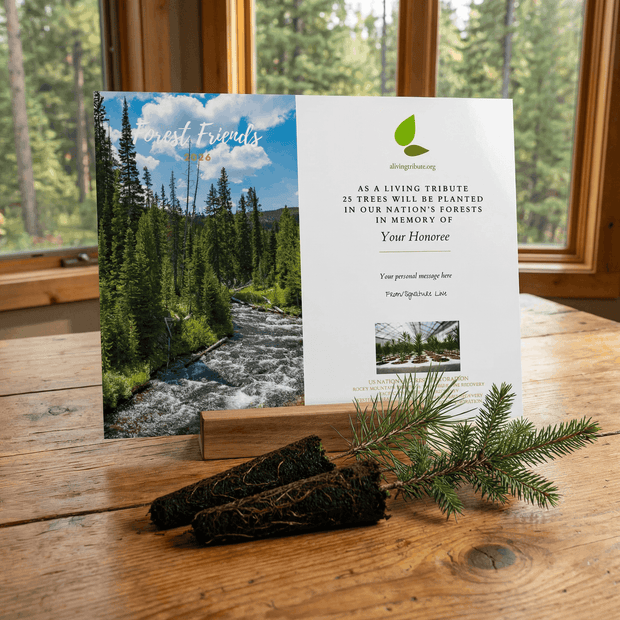 Nature-themed card with a scenic view of trees and a stream on a wooden surface.