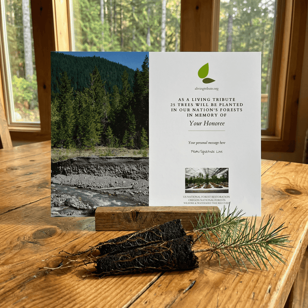 Memorial card for a living tribute to trees in national forests, placed on a wooden surface with a forest view.