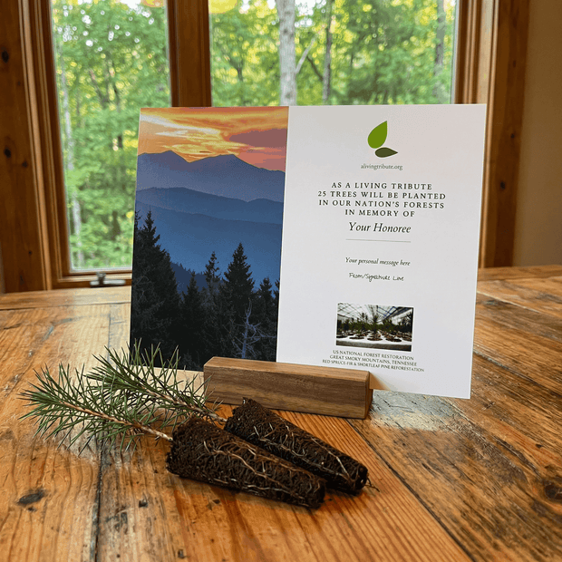 Card with mountain landscape and text on a wooden table with a window view