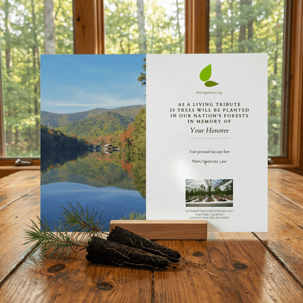 Memorial tree planting kit with scenic card and instructions on a wooden surface.