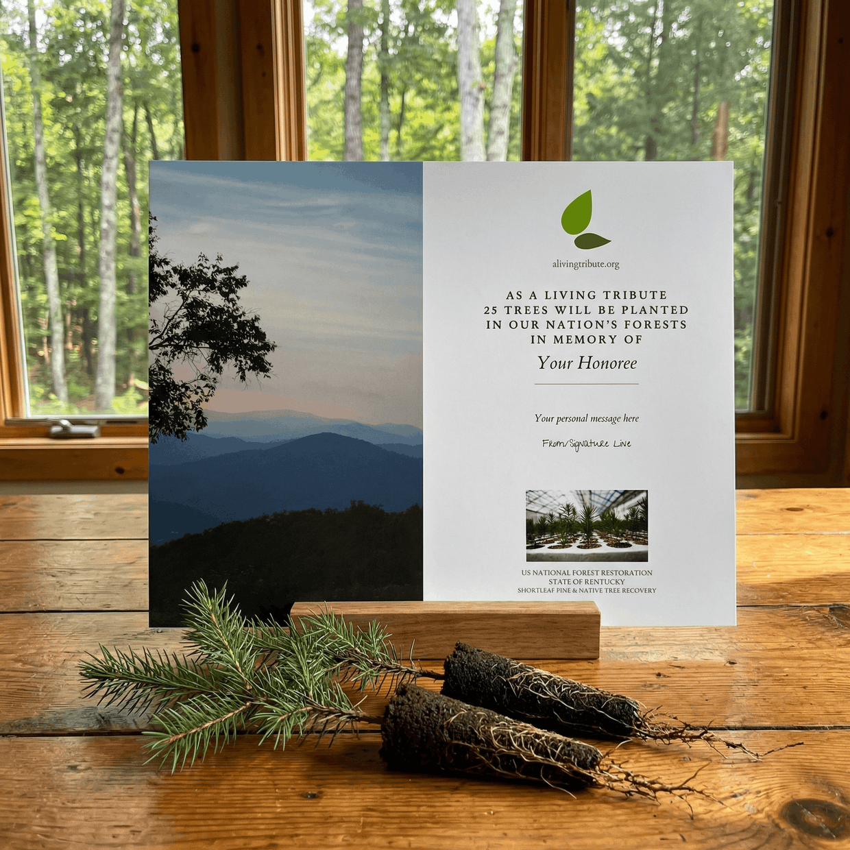 Plant a Tree for Someone in Kentucky - Memorial & Tribute Trees | A ...