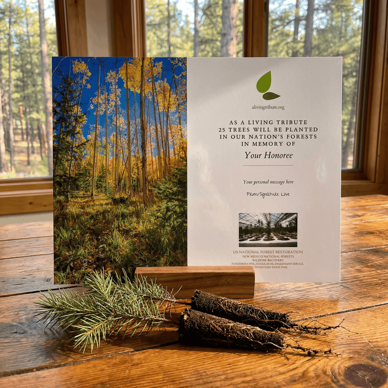 Plant a Tree for Someone in New Mexico - Memorial & Tribute Trees | A ...