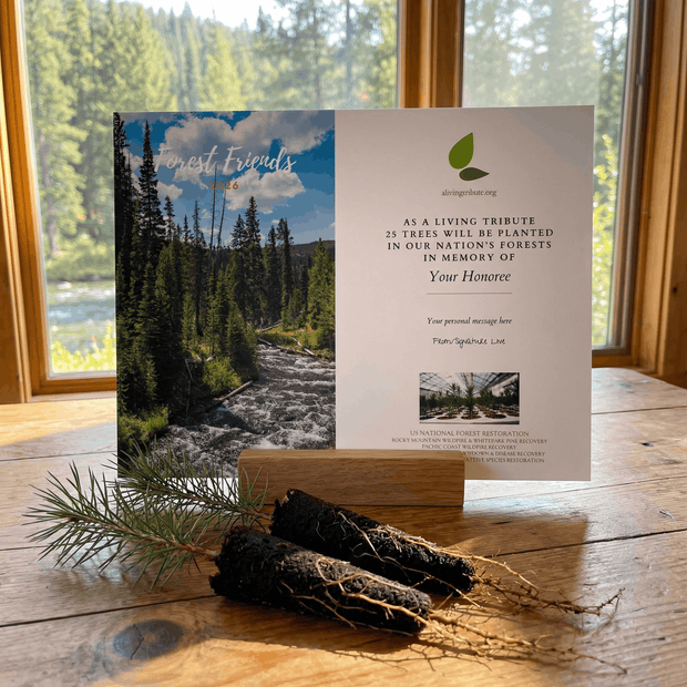 Memorial tree planting card with nature scene and text on a wooden surface.