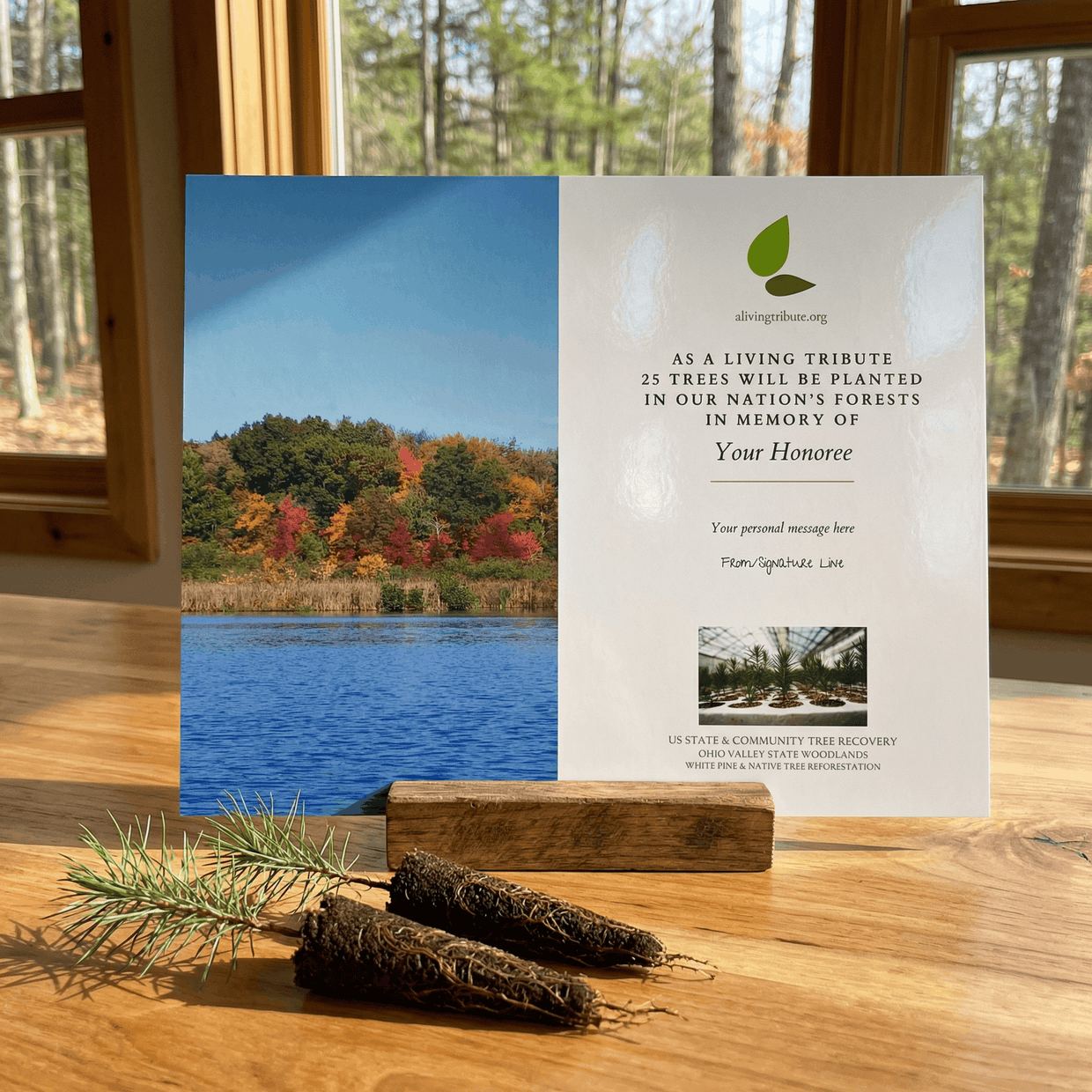 Plant a Tree for Someone in Ohio - Memorial & Tribute Trees | A Living ...