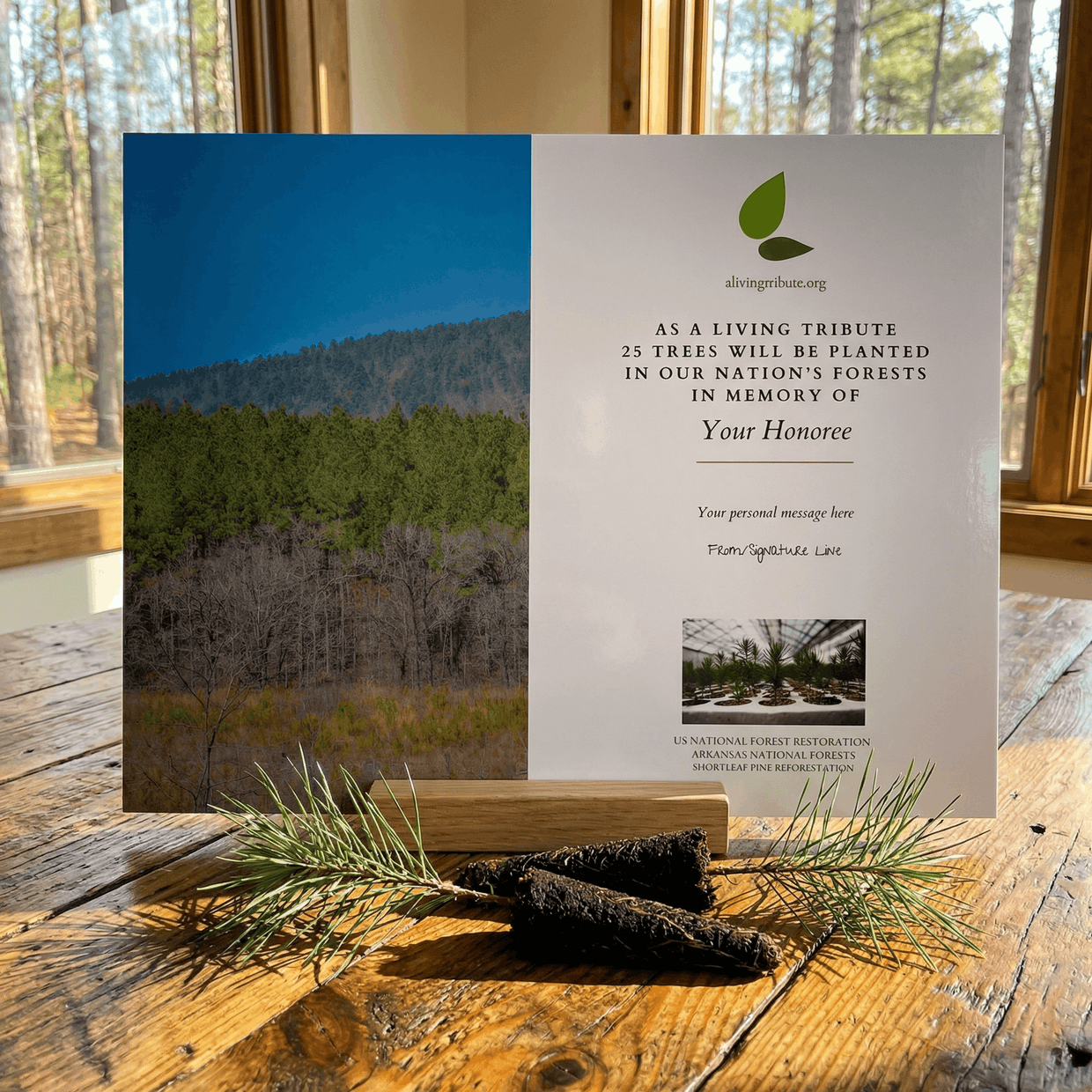 Plant a Tree for Someone in Arkansas - Memorial & Tribute Trees | A ...