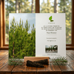 Card with tree planting message on a wooden surface with a forest background