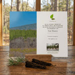 Memorial card for planting trees in memory of a loved one with a scenic background.