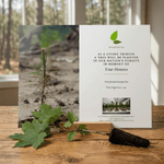 Memorial tree planting card with a sapling photo and text on a wooden surface.