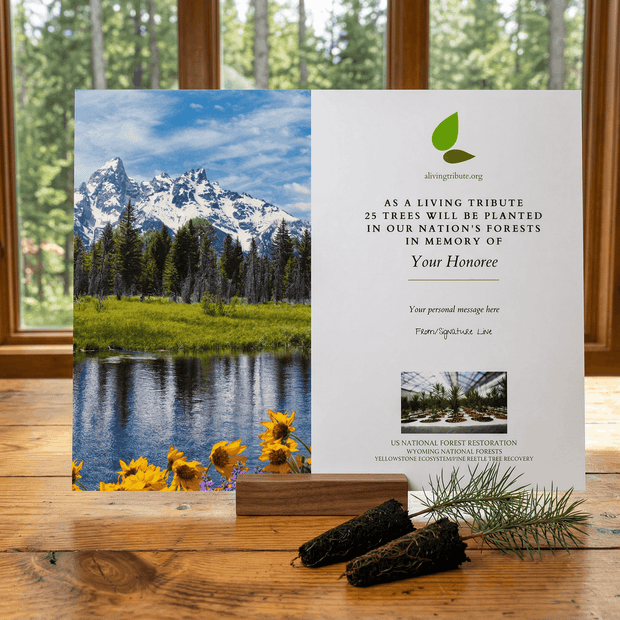 Memorial card with mountain and nature scene on a wooden surface