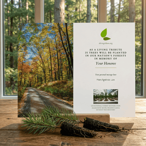 Plant a Tree for Someone in Pennsylvania - Memorial & Tribute Trees | A ...