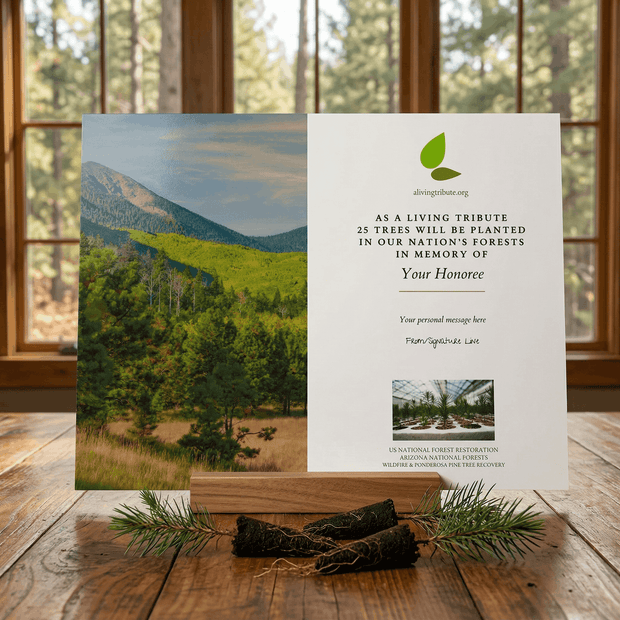 Card with nature-themed design and text on a wooden surface with a window view.