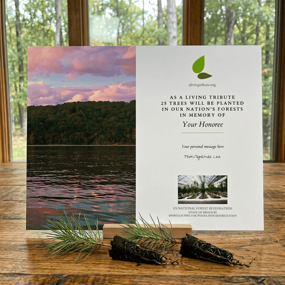 Plant a Tree in Missouri
