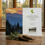 Memorial tree planting card with sunset over mountains and forest on a wooden surface.