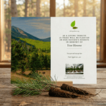 Memorial card for tree planting tribute with a scenic view of a forest in the background.