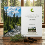 National Forest memorial tree planting card with forest scene and text on a wooden surface.