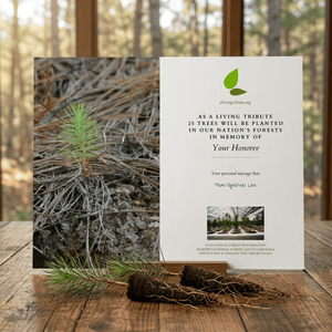 Plant a Tree for Someone in South Carolina - Memorial & Tribute Trees ...
