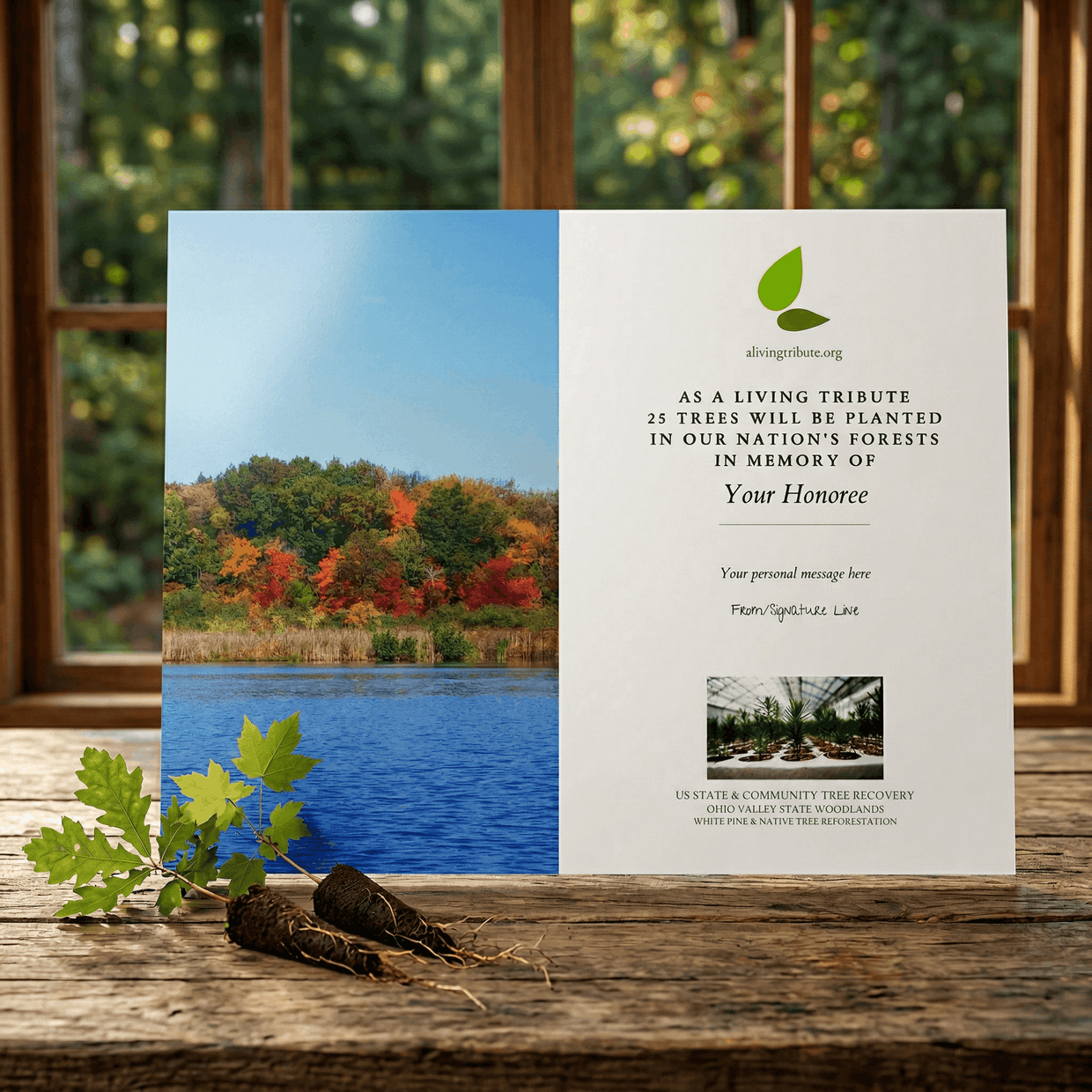 Plant a Tree for Someone in Ohio - Memorial & Tribute Trees | A Living ...