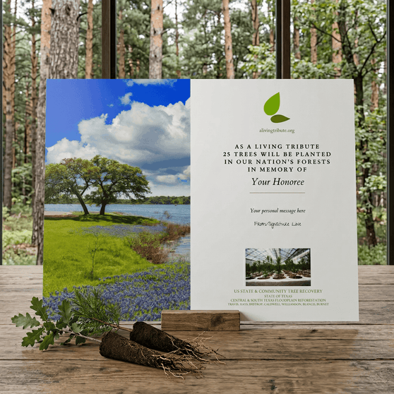 Plant a Tree in Memory Texas
